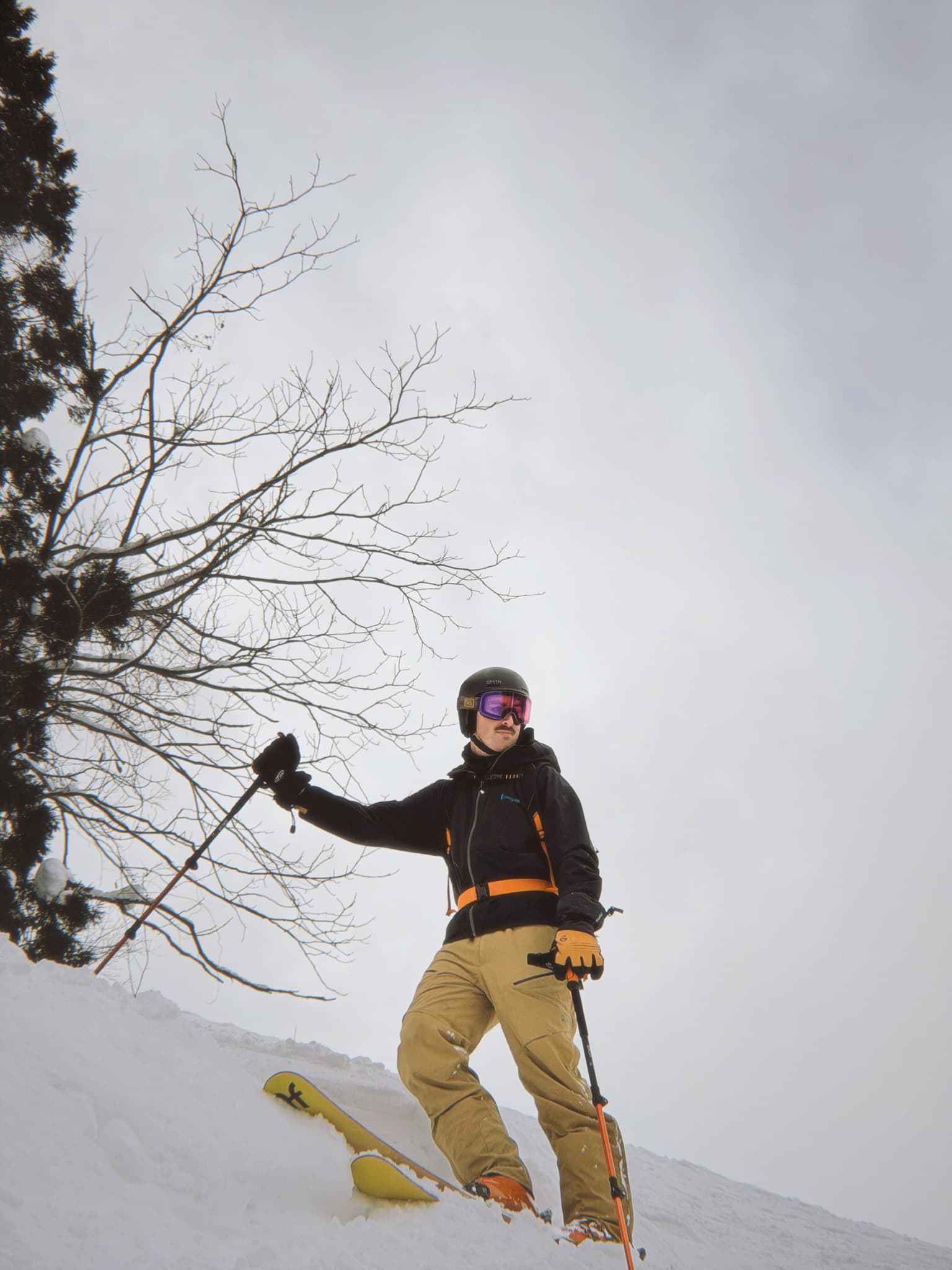 A skier standing under bare winter trees