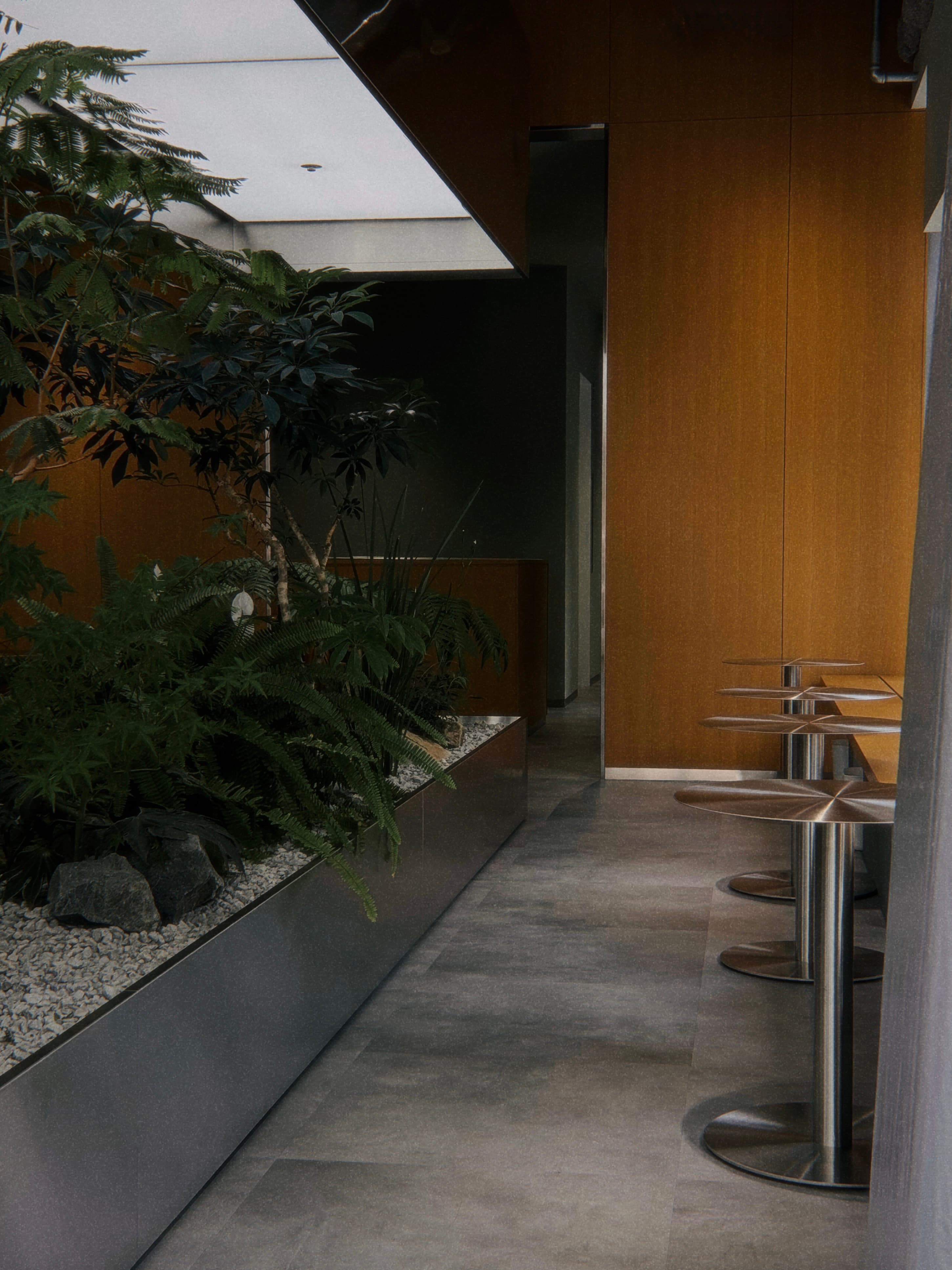 A quiet modern interior with plants