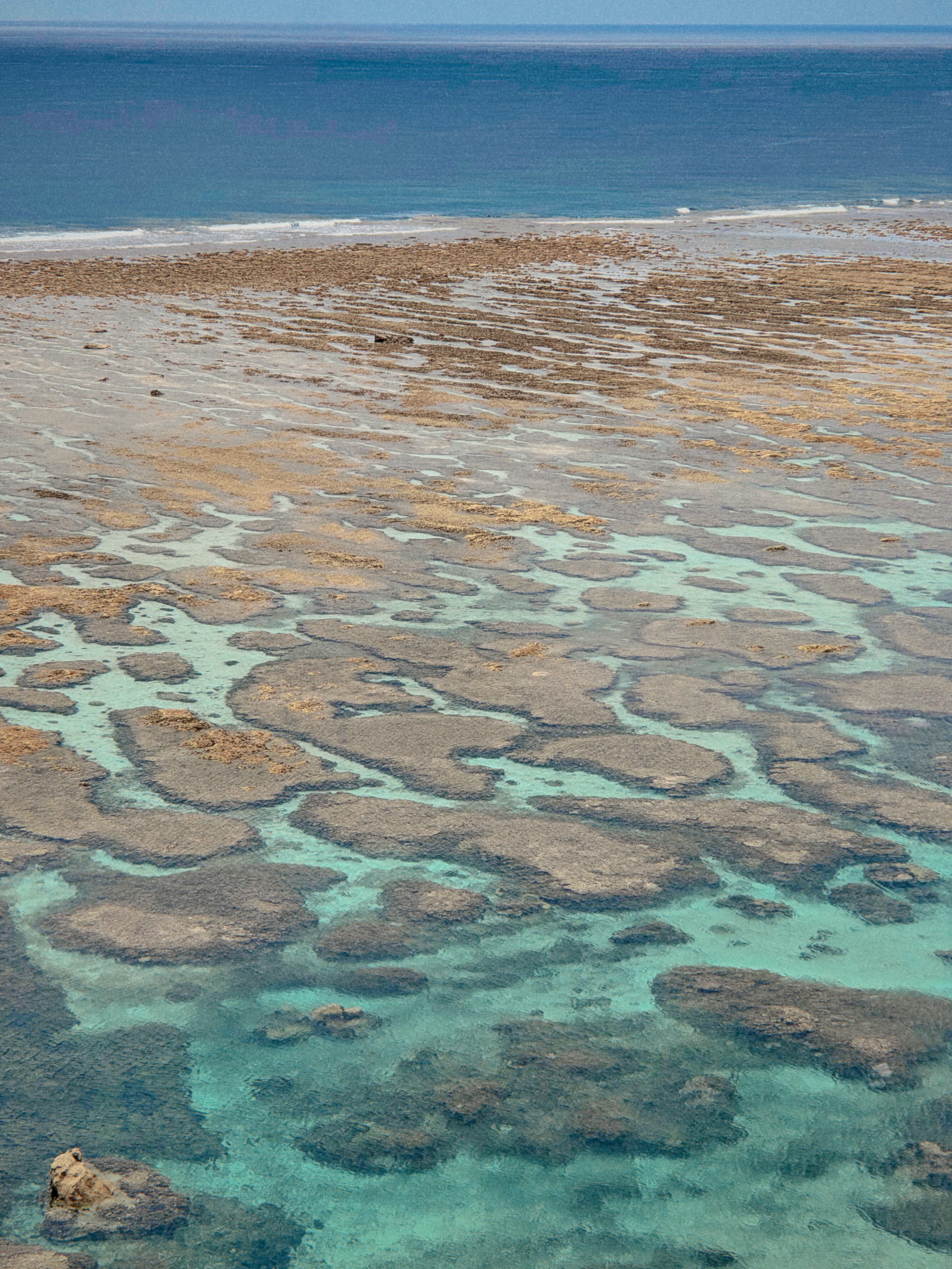 Turquoise reef water at low tide